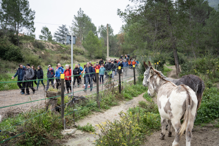 01 RUTA MATONAIRES