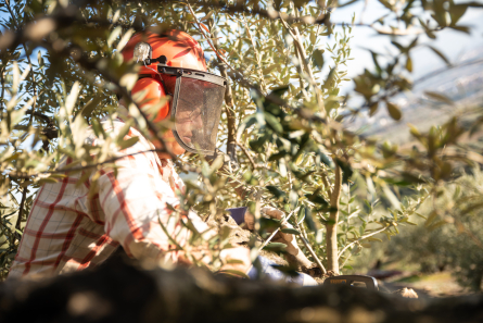 20190222_DIBA_Montserrat_Activitats_MarcPuigPerez_156_MP28180