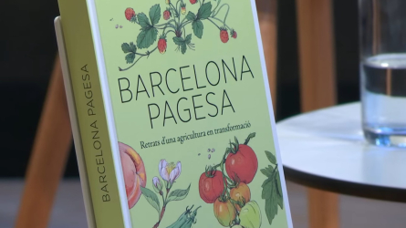 Llibre Barcelona PAgesa